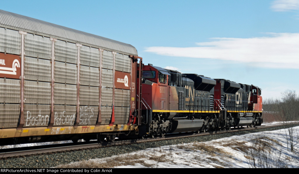 CN 8003